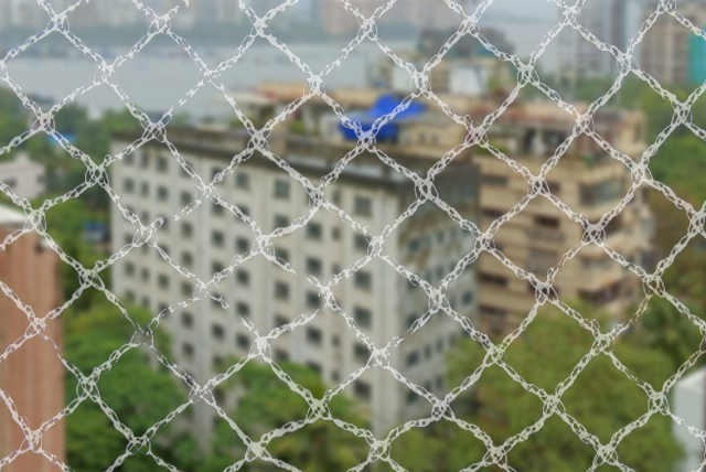 Bird Netting